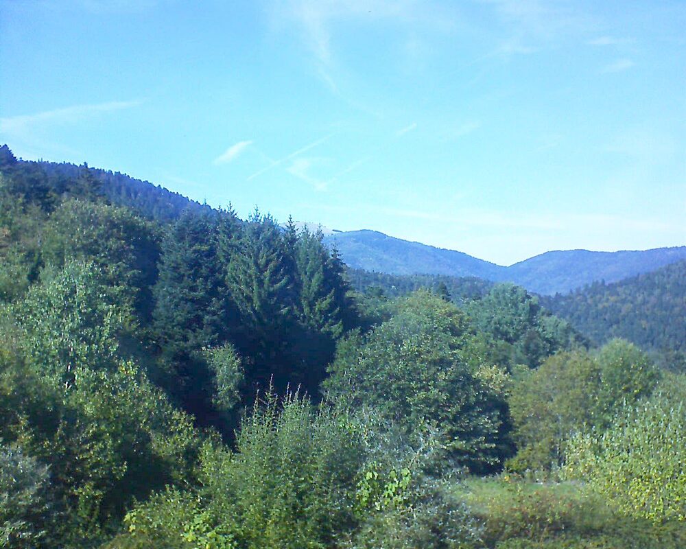 Le petit ballon (Alsace, Vosges) le 26.09.2026 à 15:30