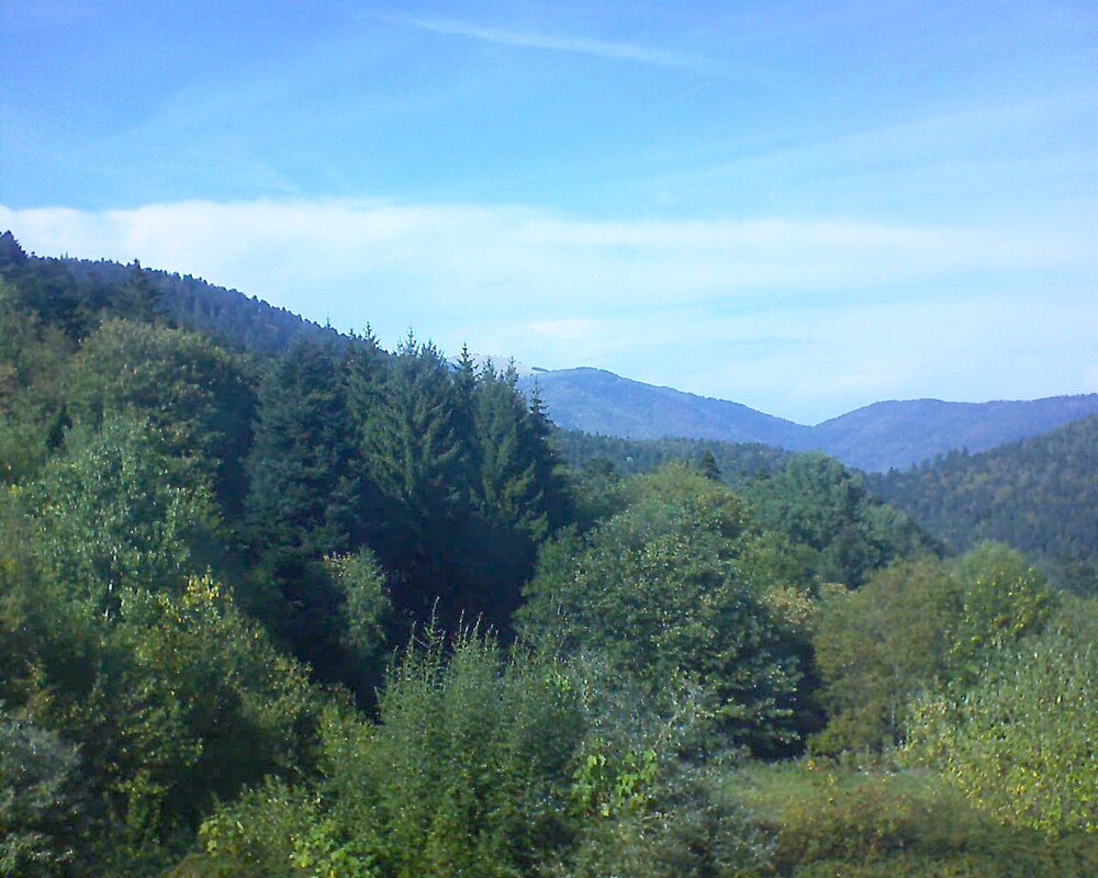 Le petit ballon vu depuis le Domaine Langmatt à Murbach le 29.09.2026 à 15:30 Le petit ballon (Alsace, Vosges) le 29.09.2026 à 15:30