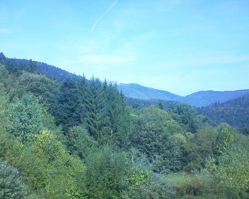 Le petit ballon (Alsace, Vosges) le 30.09.2026 à 12:30