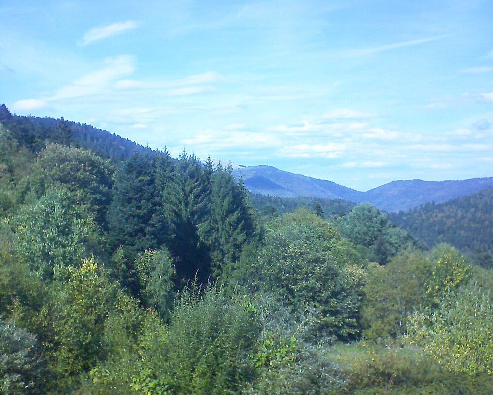 Le petit ballon (Alsace, Vosges) le 30.09.2026 à 14:30