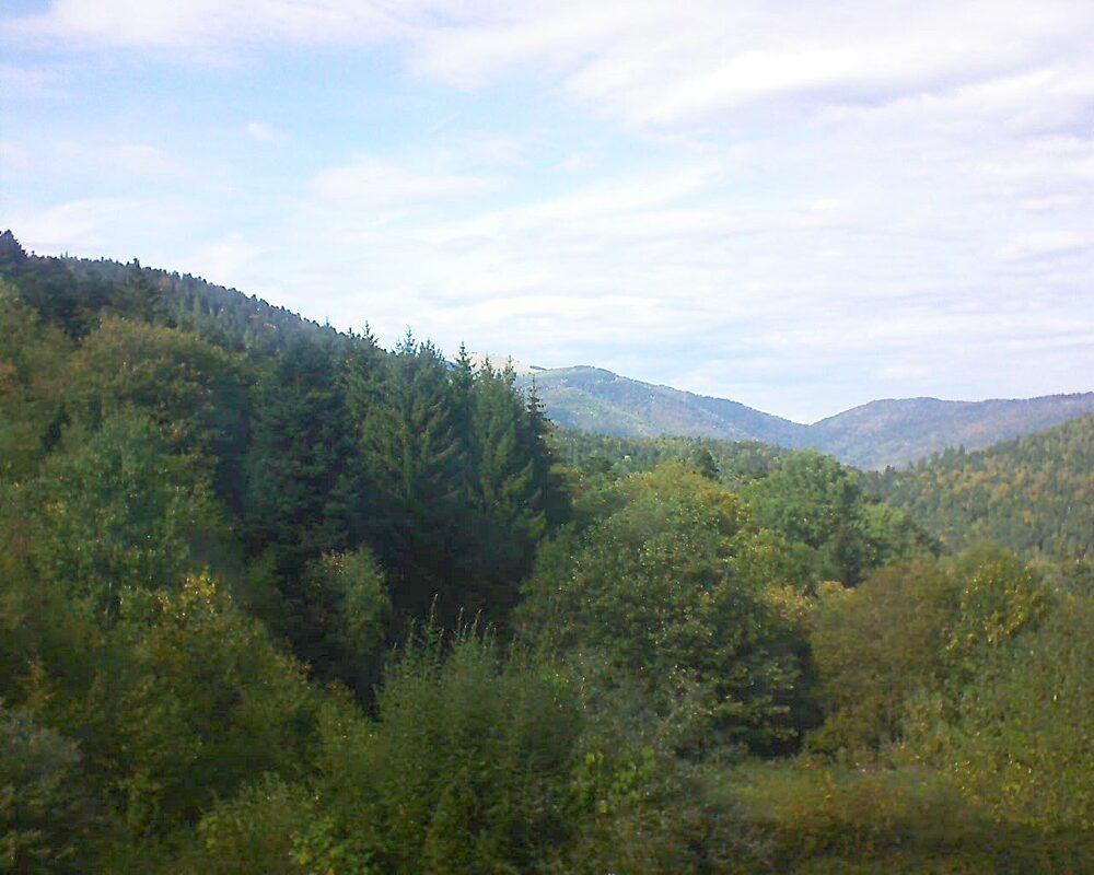 Le petit ballon vu depuis le Domaine Langmatt à Murbach le 30.09.2026 à 15:30 Le petit ballon (Alsace, Vosges) le 30.09.2026 à 15:30