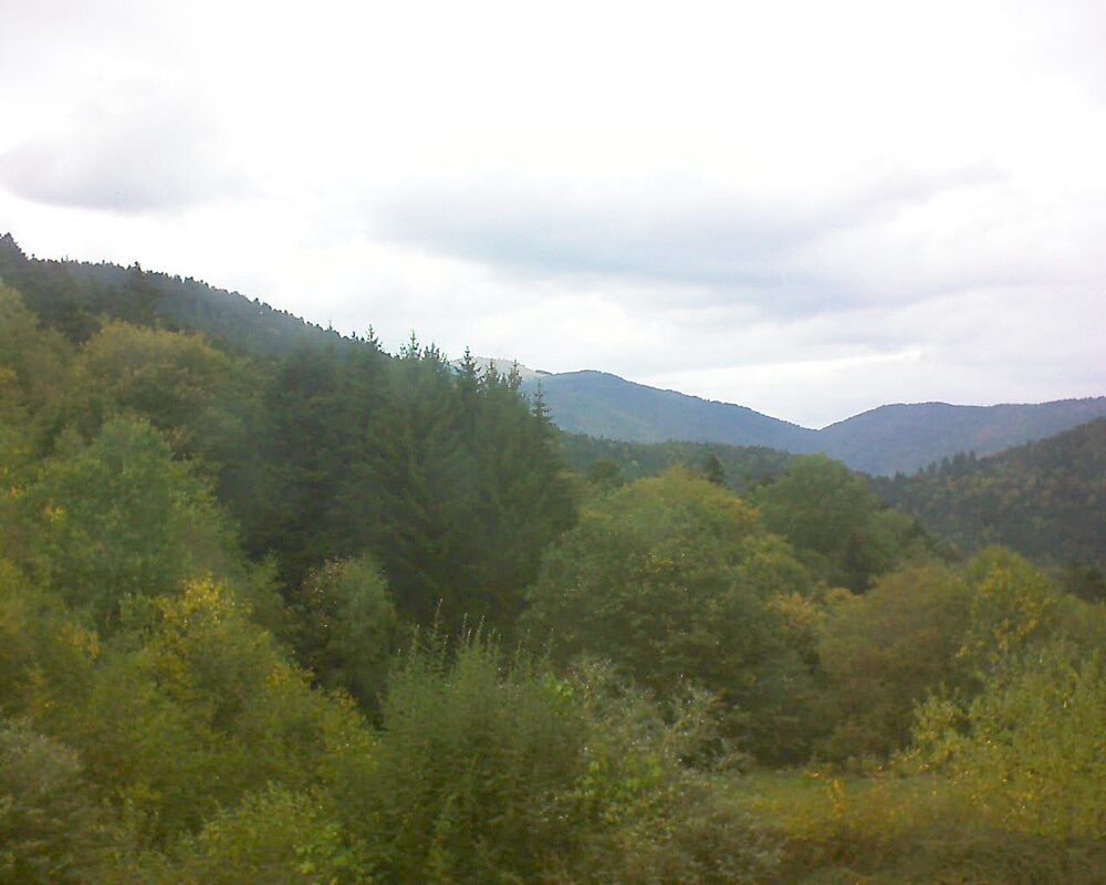 Le petit ballon vu depuis le Domaine Langmatt à Murbach le 01.10.2026 à 15:30 Le petit ballon (Alsace, Vosges) le 01.10.2026 à 15:30