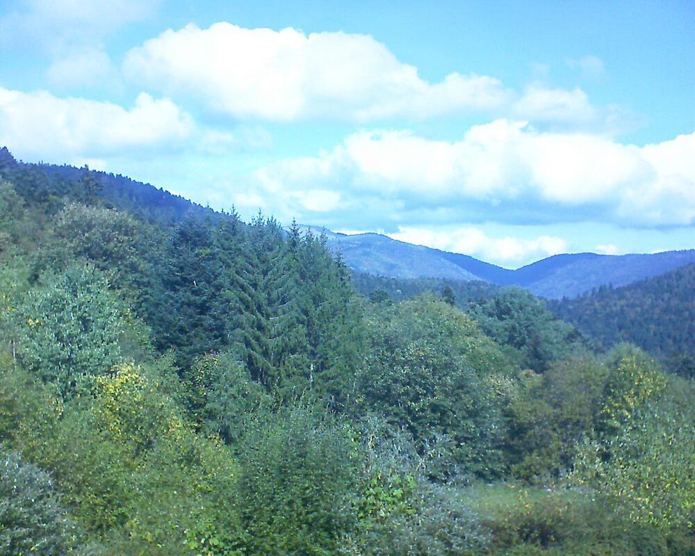 Le petit ballon (Alsace, Vosges) le 02.10.2026 à 12:30