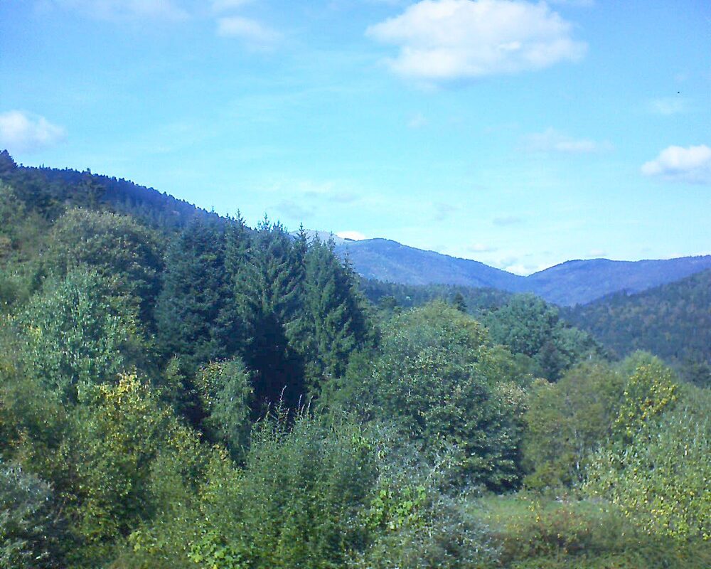 Le petit ballon vu depuis le Domaine Langmatt à Murbach le 02.10.2026 à 14:30 Le petit ballon (Alsace, Vosges) le 02.10.2026 à 14:30