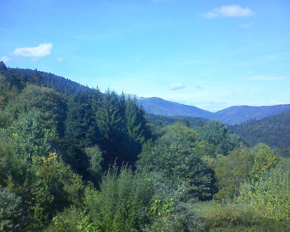 Le petit ballon (Alsace, Vosges) le 02.10.2026 à 15:15