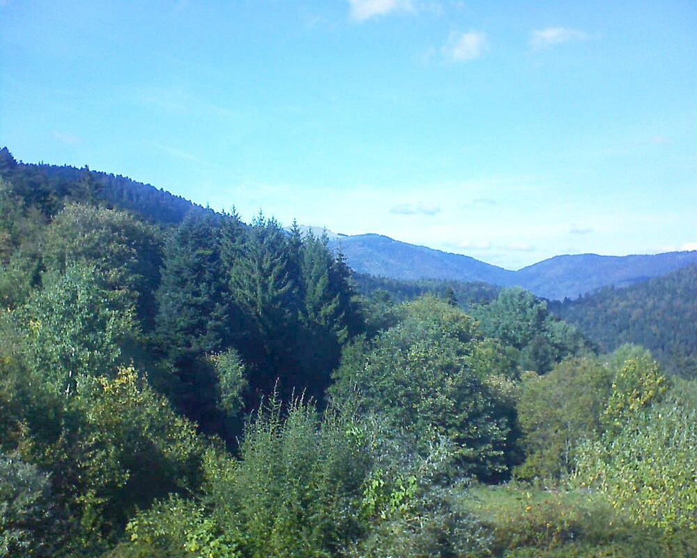 Le petit ballon vu depuis le Domaine Langmatt à Murbach le 02.10.2026 à 15:30 Le petit ballon (Alsace, Vosges) le 02.10.2026 à 15:30