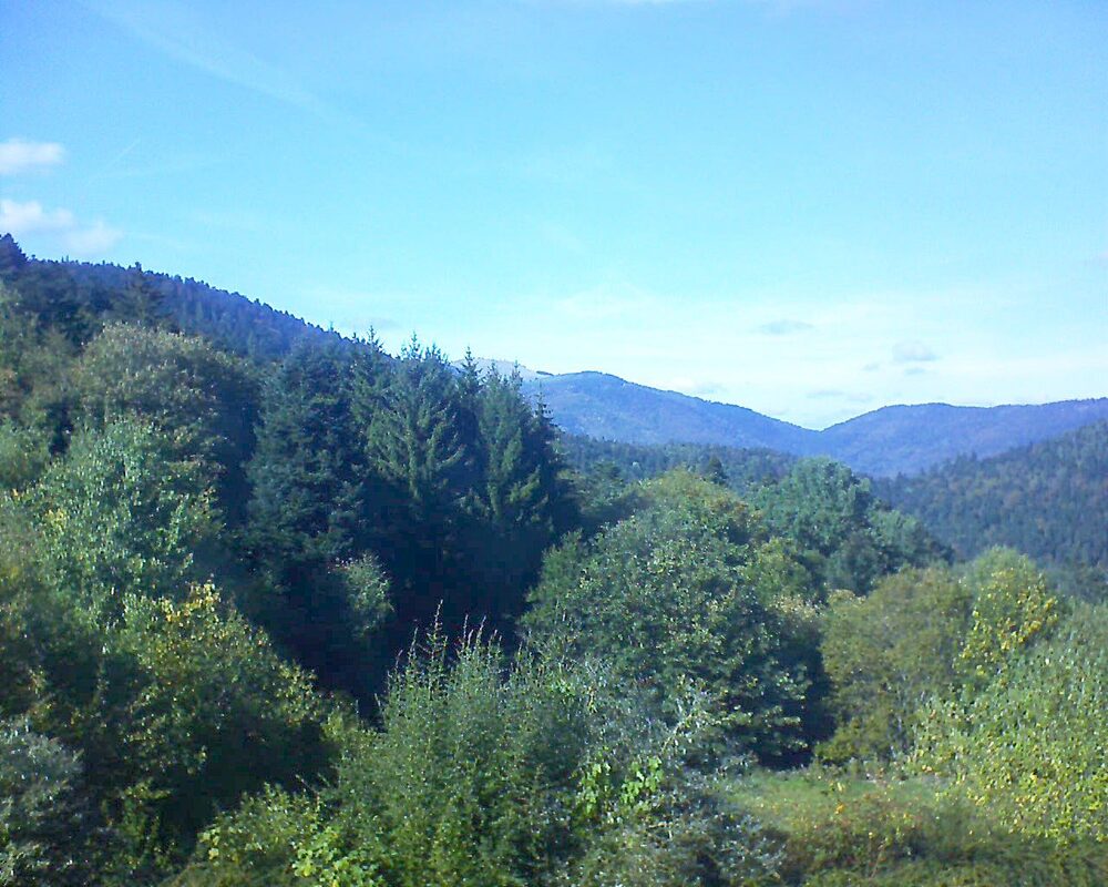 Le petit ballon (Alsace, Vosges) le 02.10.2026 à 15:45