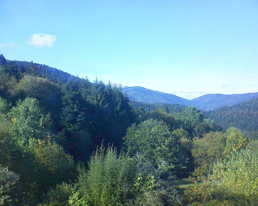 Le petit ballon (Alsace, Vosges) le 02.10.2026 à 16:30