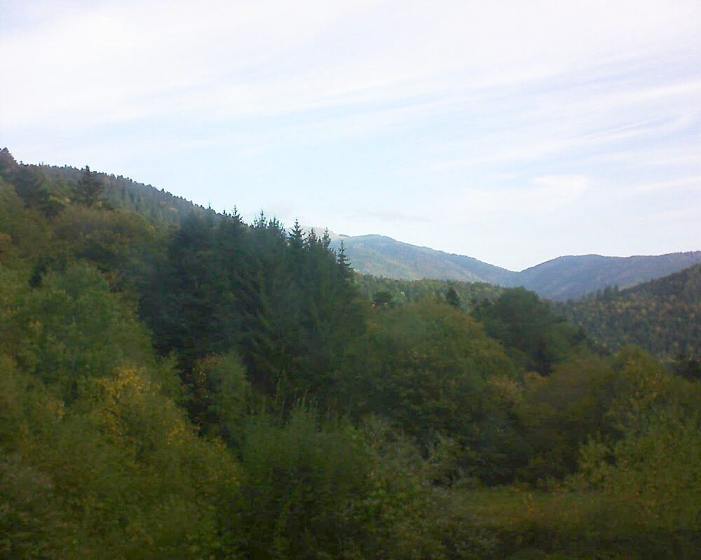 Le petit ballon (Alsace, Vosges) le 03.10.2026 à 09:30
