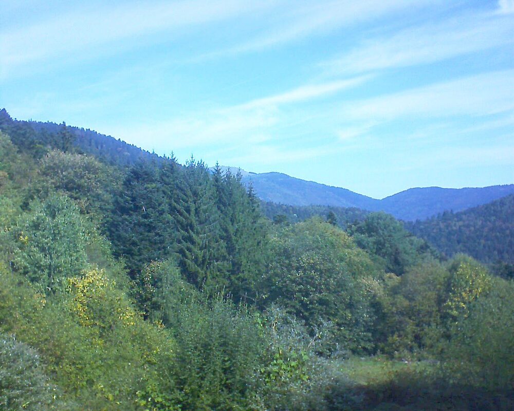 Le petit ballon (Alsace, Vosges) le 03.10.2026 à 11:30