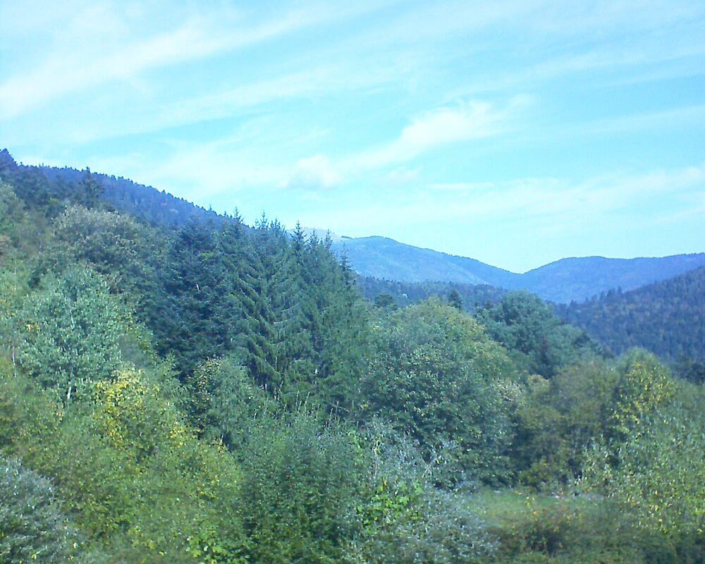 Le petit ballon (Alsace, Vosges) le 03.10.2026 à 12:15