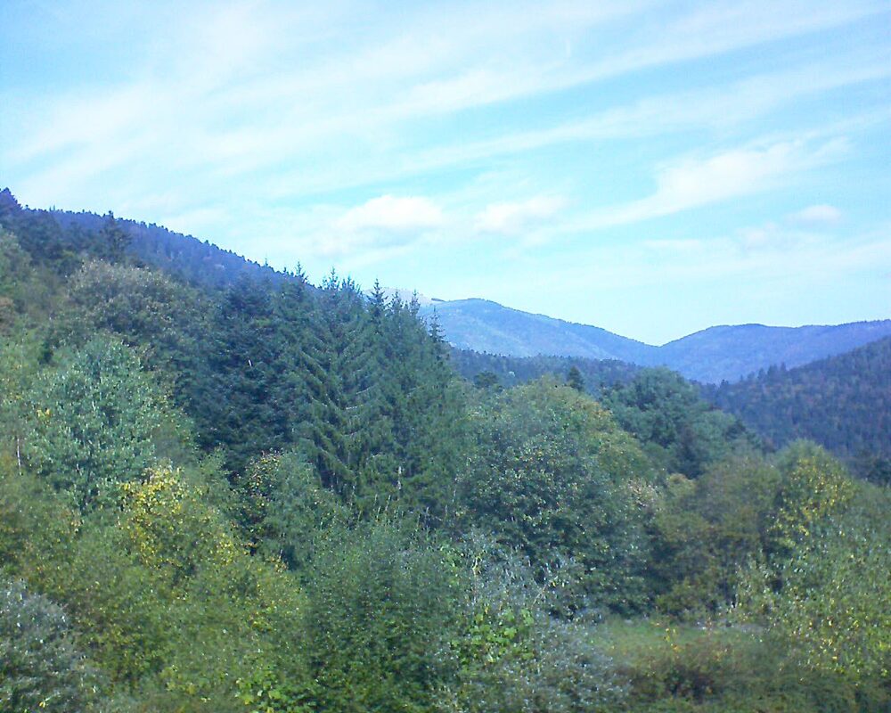 Le petit ballon vu depuis le Domaine Langmatt à Murbach le 03.10.2026 à 12:30 Le petit ballon (Alsace, Vosges) le 03.10.2026 à 12:30