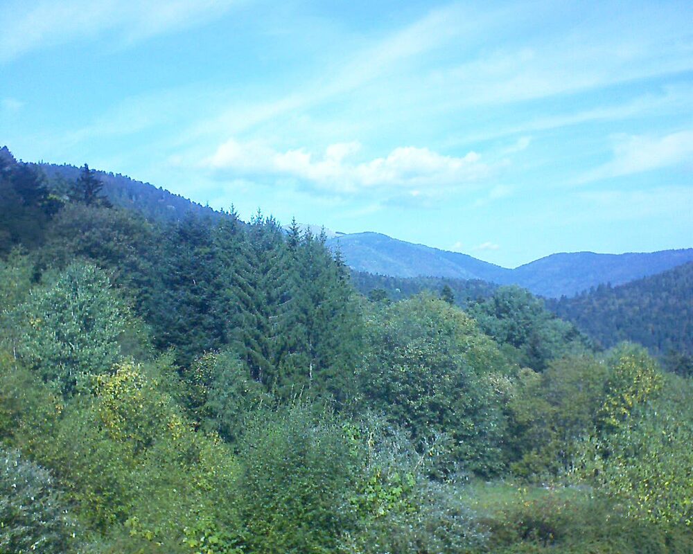 Le petit ballon (Alsace, Vosges) le 03.10.2026 à 12:45