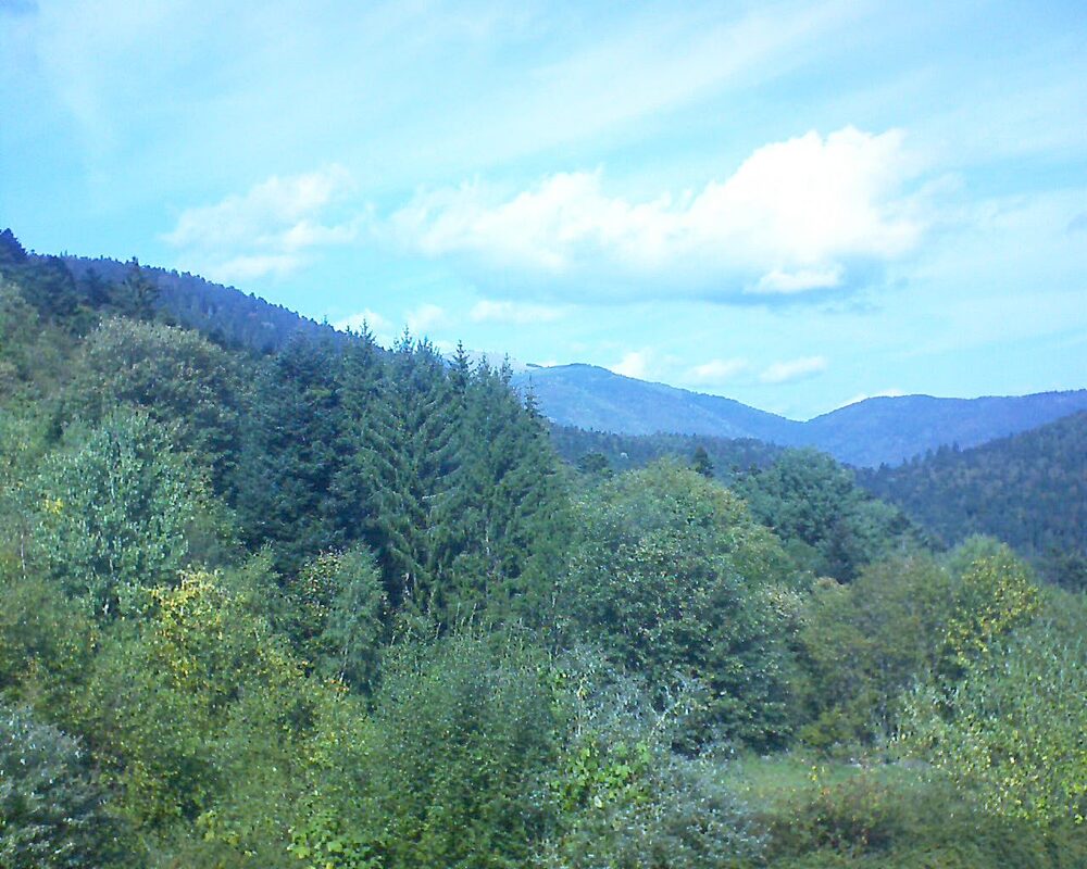 Le petit ballon (Alsace, Vosges) le 03.10.2026 à 13:30