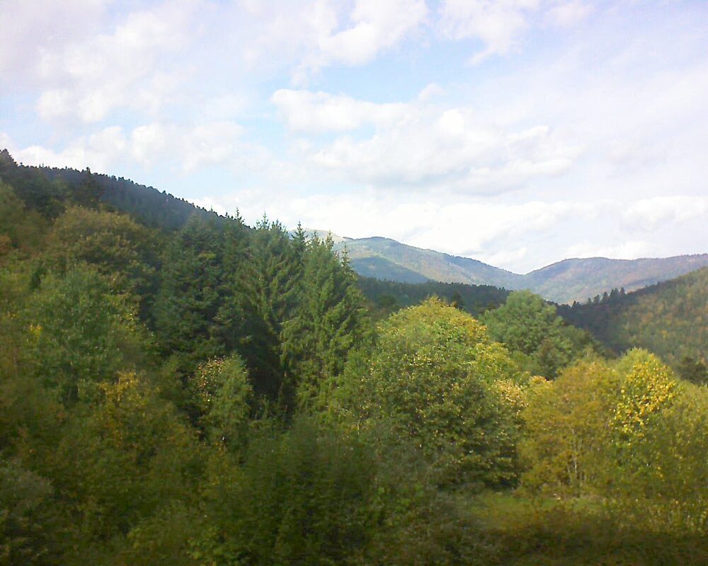 Le petit ballon vu depuis le Domaine Langmatt à Murbach le 03.10.2026 à 14:15 Le petit ballon (Alsace, Vosges) le 03.10.2026 à 14:15