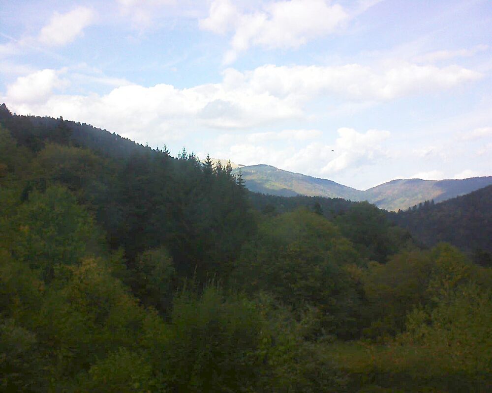 Le petit ballon (Alsace, Vosges) le 03.10.2026 à 14:45