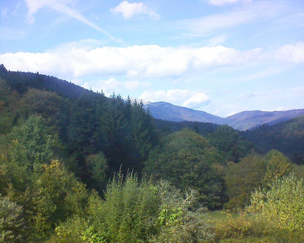 Le petit ballon (Alsace, Vosges) le 03.10.2026 à 15:00