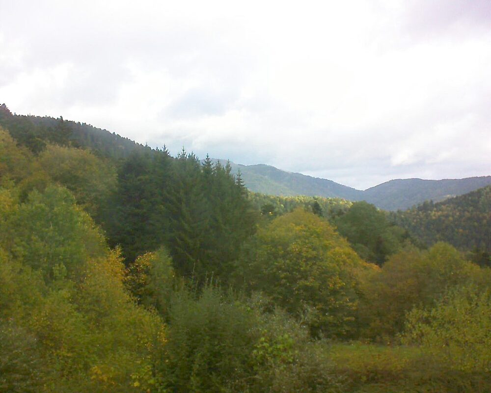 Le petit ballon (Alsace, Vosges) le 22.10.2026 à 09:30