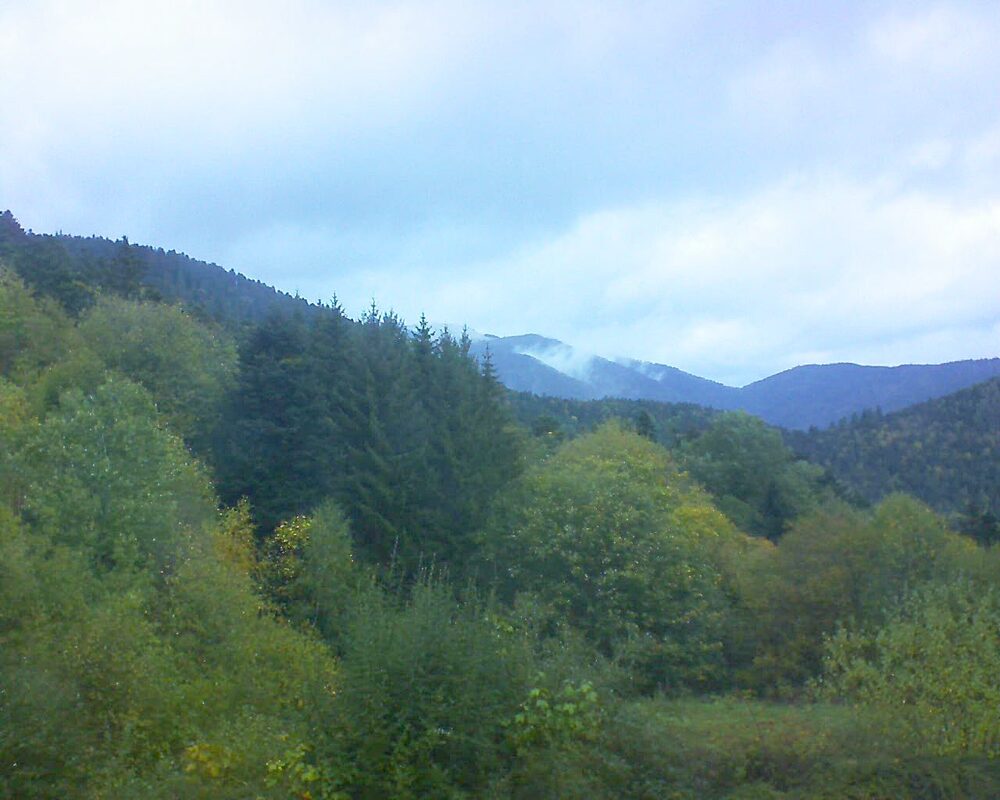 Le petit ballon (Alsace, Vosges) le 24.10.2026 à 10:45